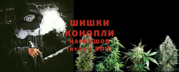 спиды Краснослободск