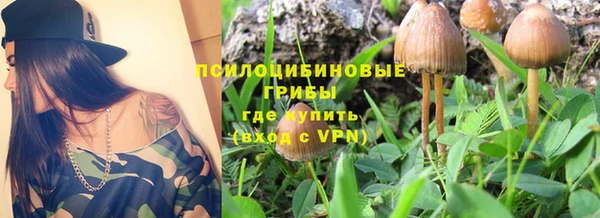 PSILOCYBIN Кодинск