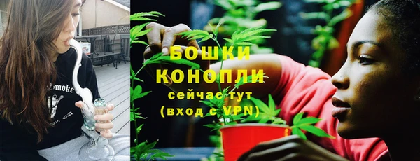 PSILOCYBIN Кодинск