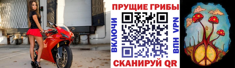 Галлюциногенные грибы ЛСД Краснозаводск