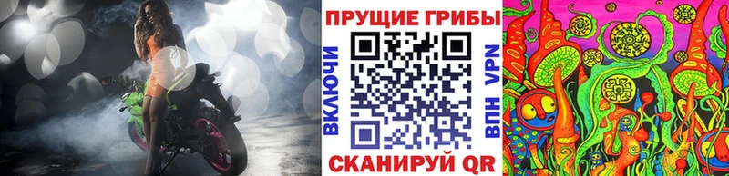 kraken онион  мориарти как зайти  Галлюциногенные грибы Cubensis  Краснозаводск 