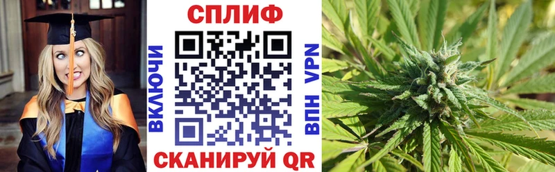 где можно купить   Краснозаводск  Бошки марихуана AK-47 